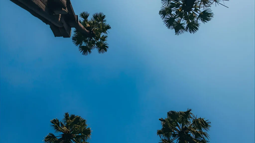 POV Captions for Instagram