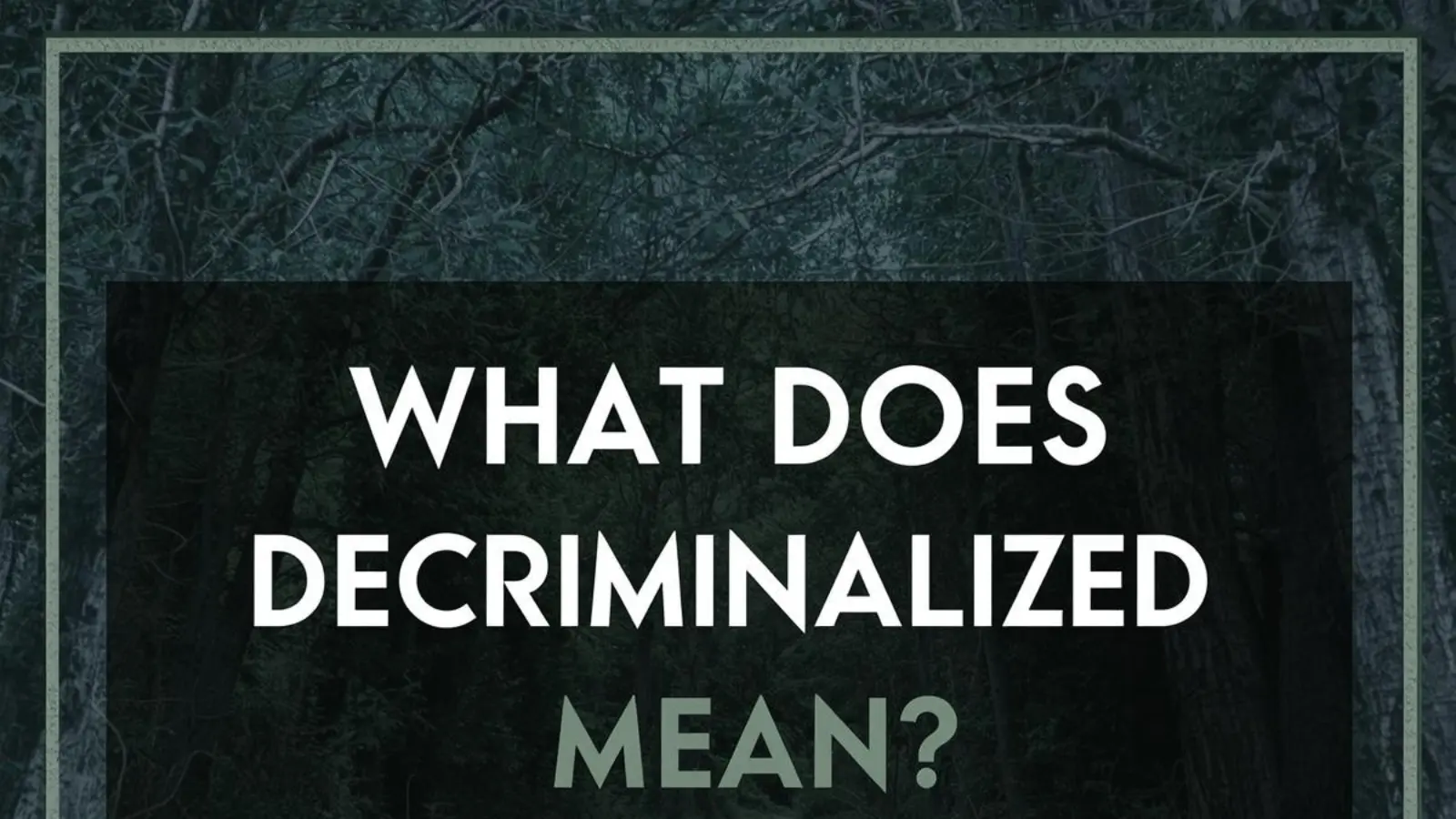 What Does Decriminalized Mean