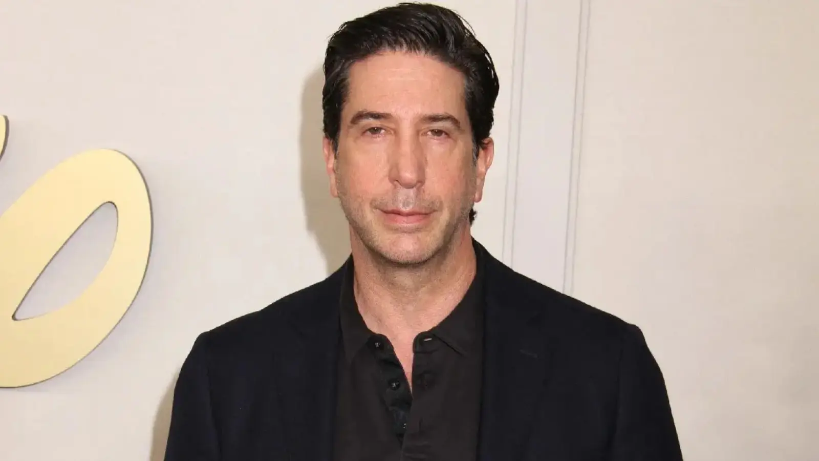 David Schwimmer Net Worth