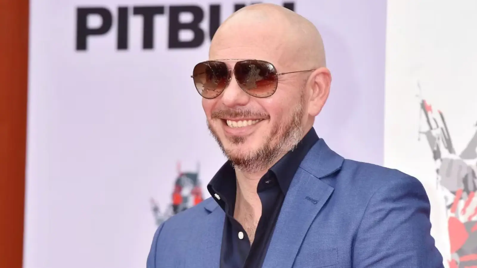 Pitbull Net Worth